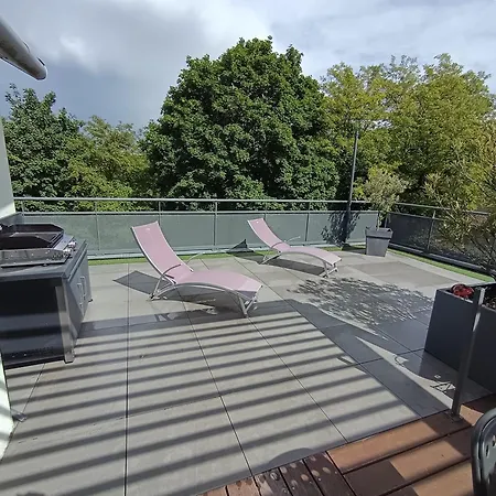 Duplex Cosy Avec Terrasse - 15min De Lyon Centre Appartement *