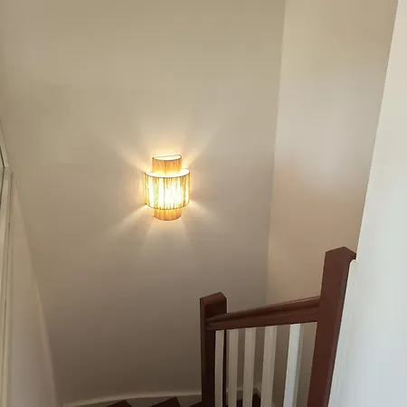 Duplex Cosy Avec Terrasse - 15min De Lyon Centre 公寓